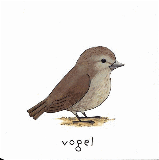 vogel